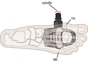 Foot position relative to the bike spindle