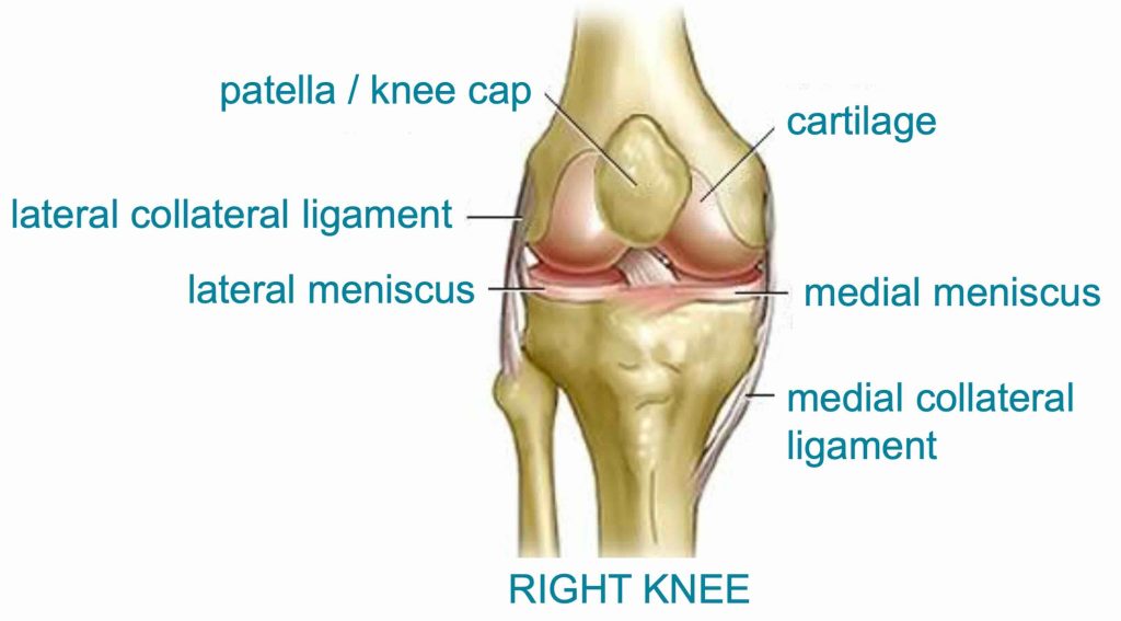 Osteoarthritis