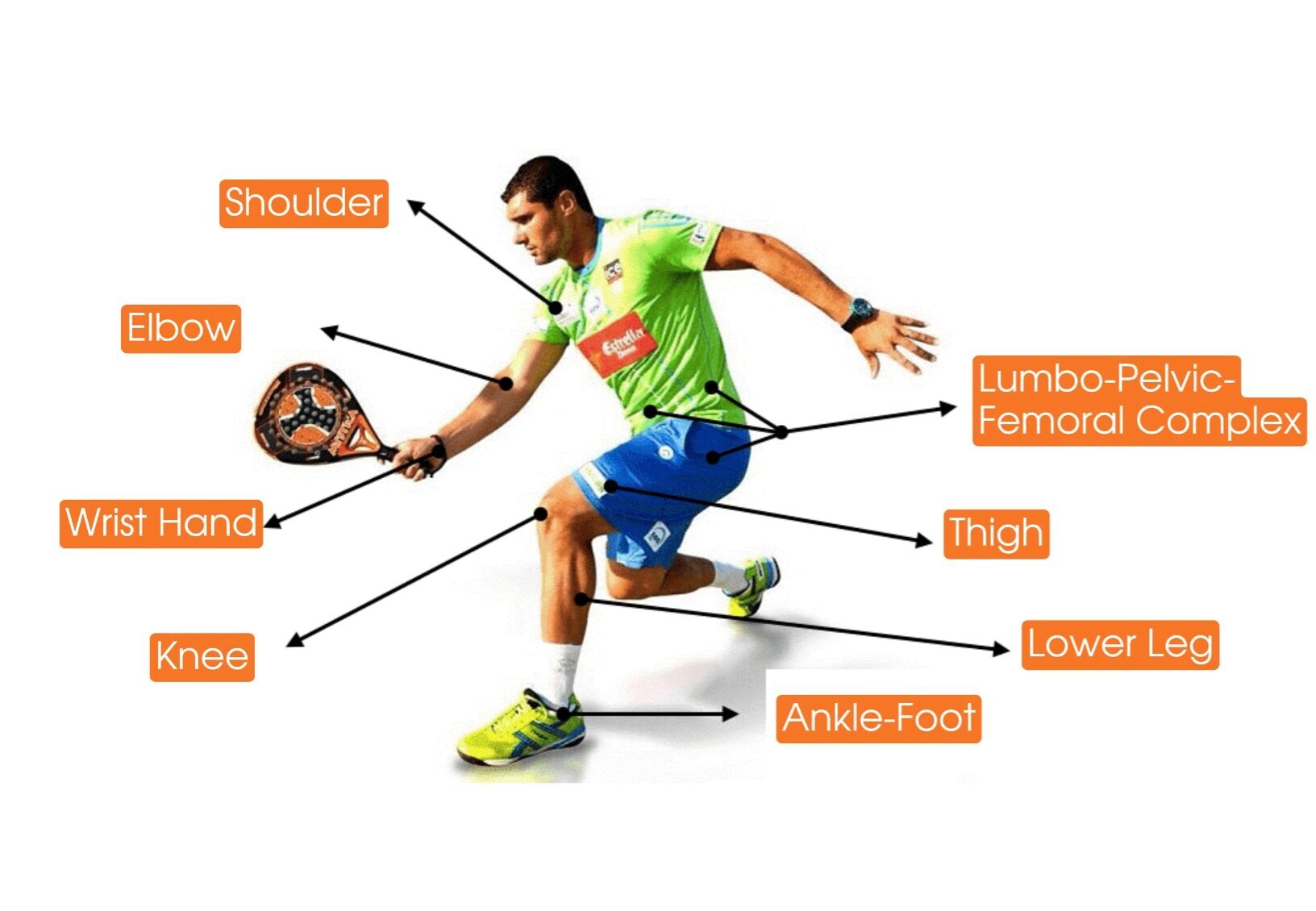 padel injuries Singapore — body areas affected including shoulder, elbow, wrist, knee and ankle
