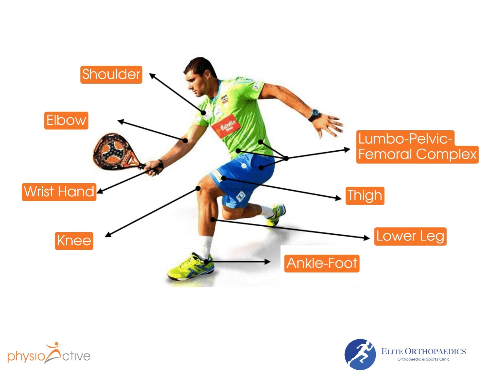 Padel injury areas on the body — shoulder, elbow, wrist, knee, ankle-foot, thigh and lower leg